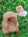 it 12