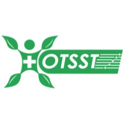 Organización técnica para la Seguridad y Salud en el Trabajo OTSST