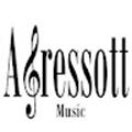 academia agressott